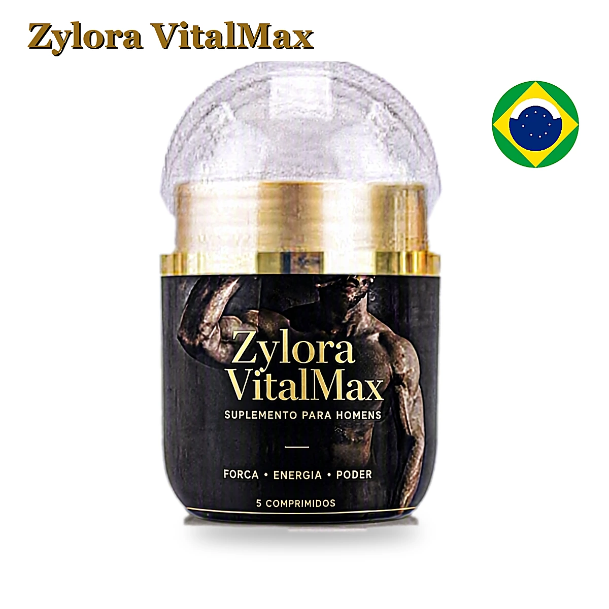 Pacote Zylora VitalMax